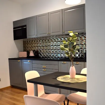 Przy Parku アパート ポラニツァ・ズドゥルイ